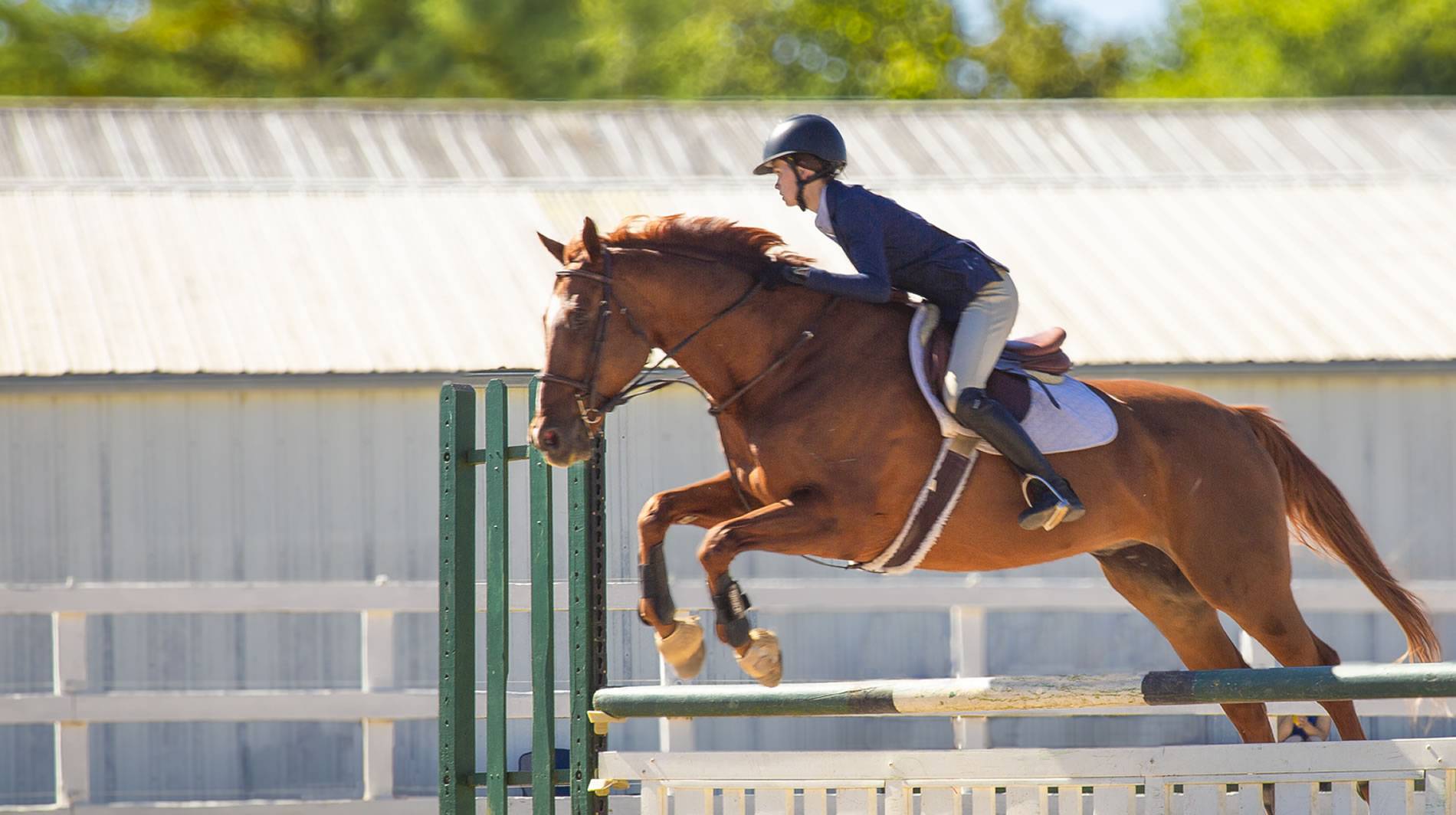 football match today
